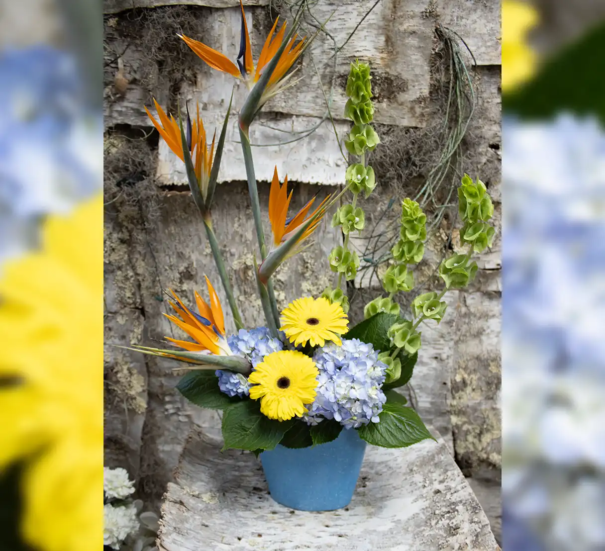 Petals and Positivity Bouquet