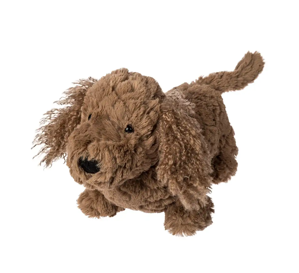 Putty Dexter Dachshund