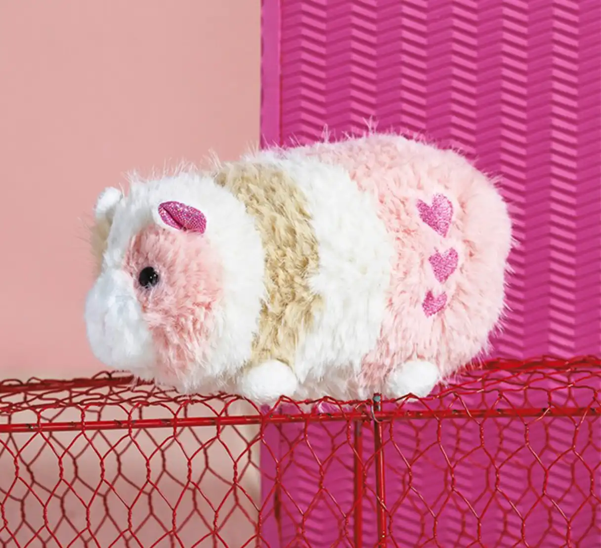 Pipsqueak Guinea Pig